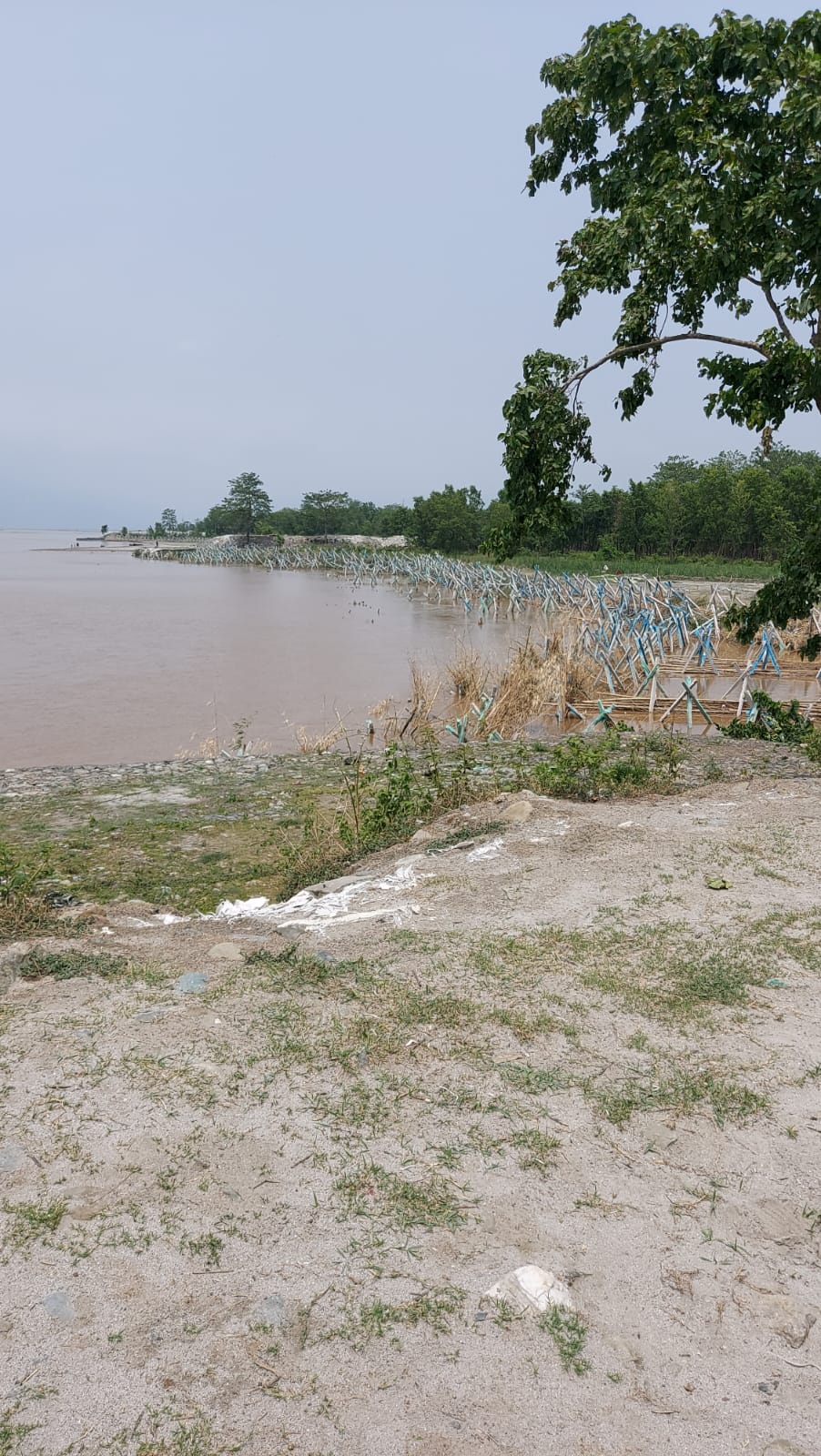 KHLC monitoring visit of the anti-erosion works on Kosi river during 16 th to 18 th May’ 2023 under the Chairmanship of Sh. Gulshan Raj, Chairman, GFCC. River bank protection (Left bank) in the u/s of Kosi barrage using concrete porcupines